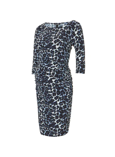 Isabella Oliver Naya Maternity Dress