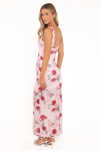 Petal & Pup Brissa Maxi Dress - Pink Floral