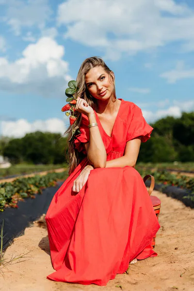 Worth Collective Louve Maxi Dress in Red - Bump Friendly