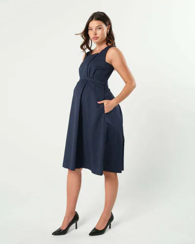 Milk & Baby INTO THE BLUE Petite Maternity & Nursing Dress