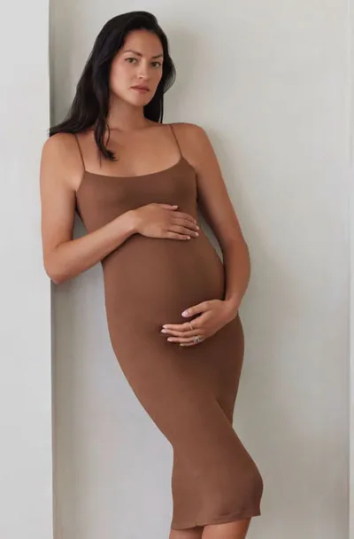 BUMPSUIT The Brigitte Maternity Dress