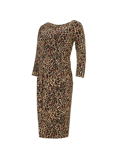 Isabella Oliver Peyton Maternity Dress