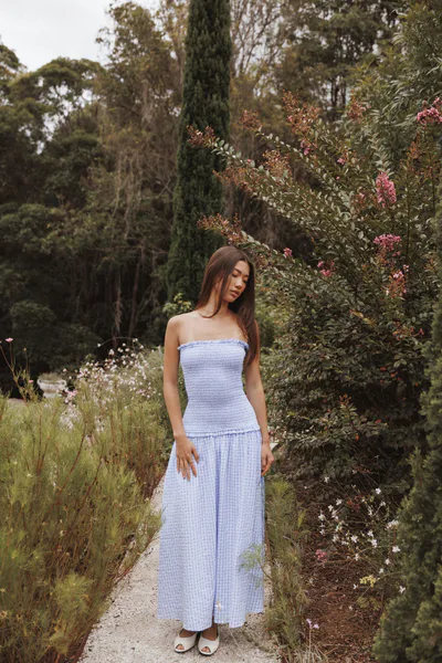 Petal & Pup Parkway Maxi Dress - Blue Gingham