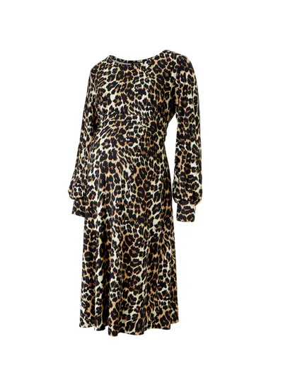 Isabella Oliver Katelyn Maternity Dress