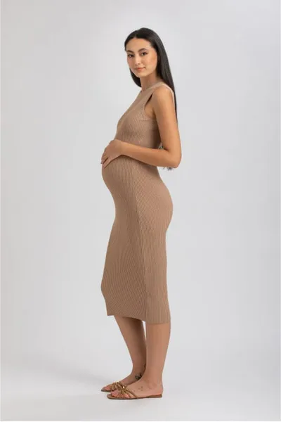 For The Creators Iris Ribbed Dress in Brown
