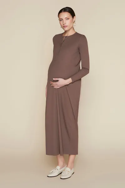 Apparalel Avon Maternity Dress in Hazelnut