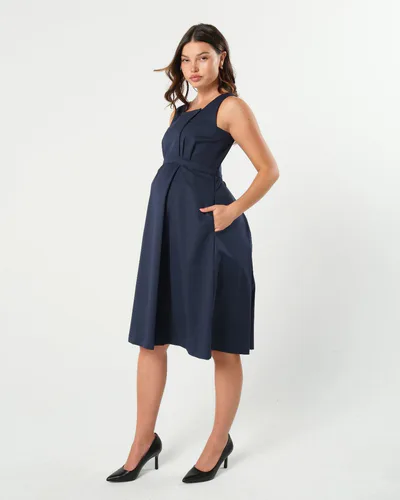 MARION Maternity INTO THE BLUE Empire Maternity & Nursing Dress (Regular & Petite)