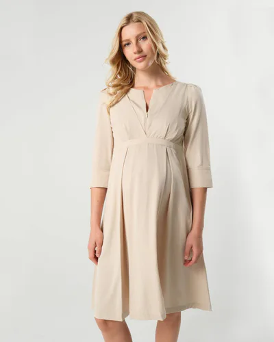 Milk & Baby Sarah Empire Maternity & Nursing Dress