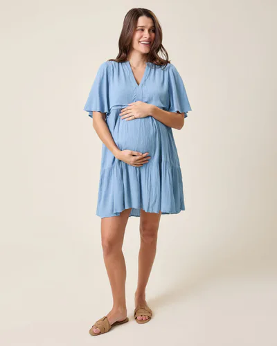 Kindred Bravely Marlowe Maternity & Nursing Mini Dress | Vintage Blue