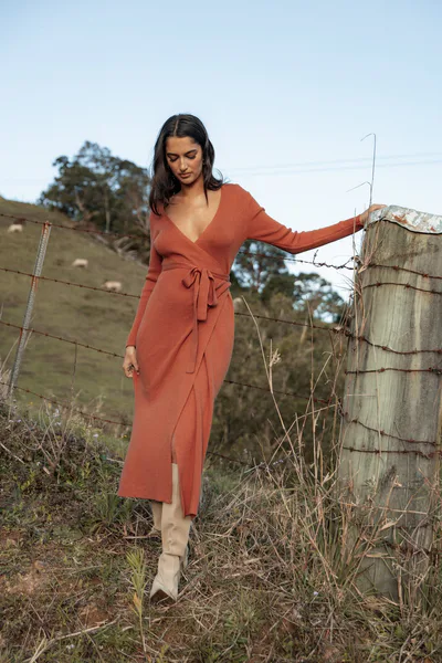 Petal & Pup Kellan Wrap Midi Dress - Bronze